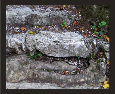 Natural stairs